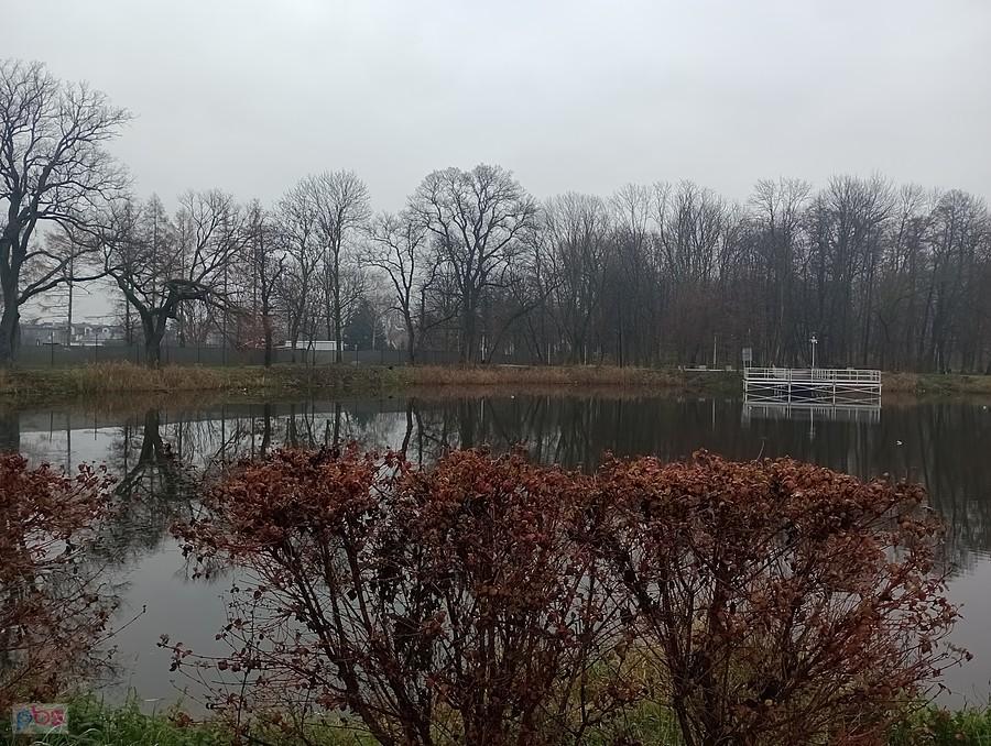 Staw w Ołtarzewie