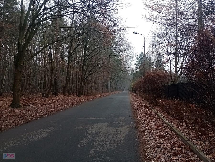 Uliczka Na Skraju na skraju lasu