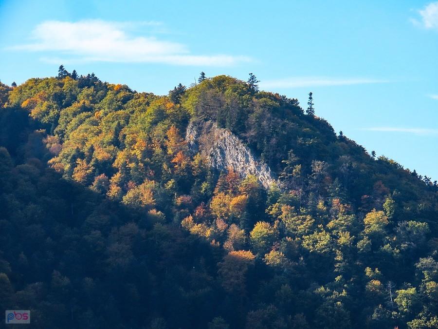Kurnikowa Skała
