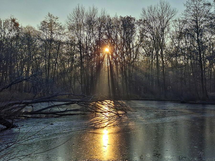Staw Grundela w słońcu