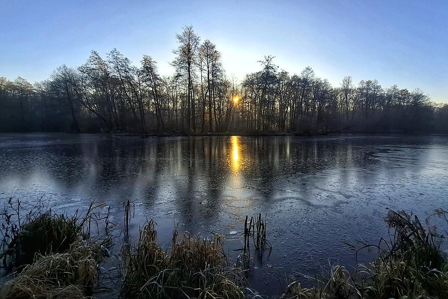 Zmrożony poranek na Dębinie