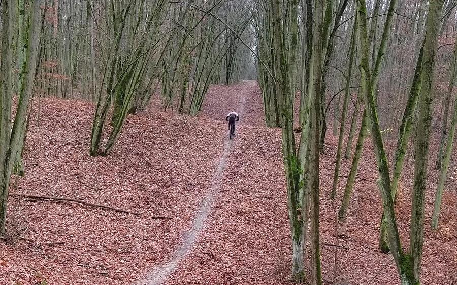 Pełna dynamika na sinusoidach