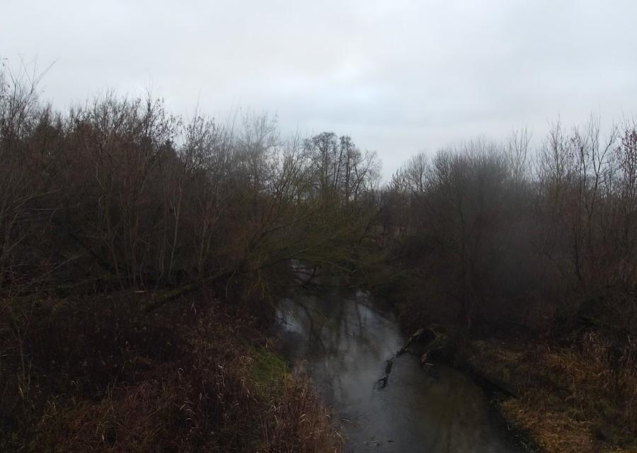 Jeziorka w Gołkowie