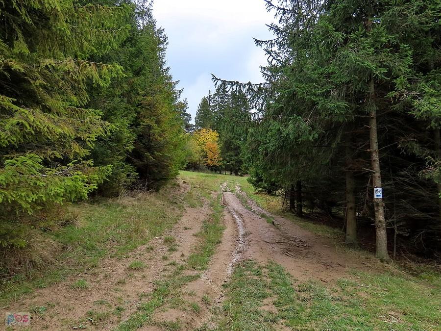 Już na przeł. Klimontowskiej