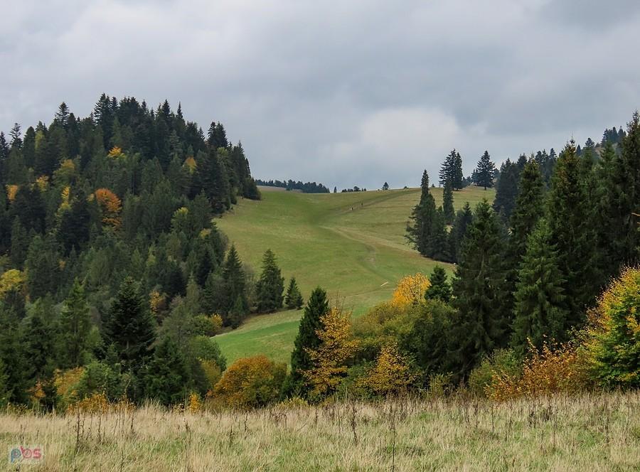 Szlak w kierunku Wysokiej