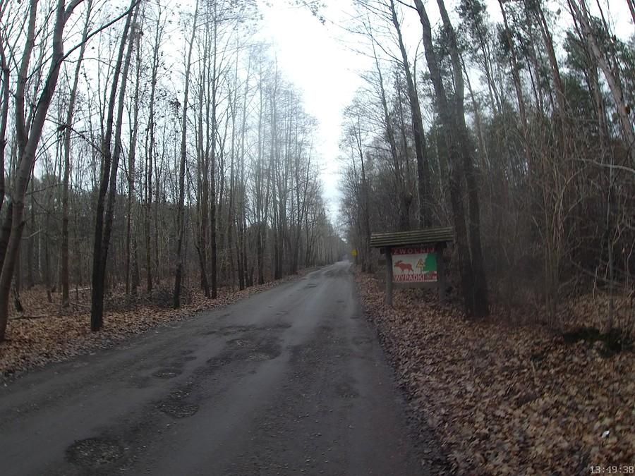 Z Truskawia do Palmir, dobry fragment drogi