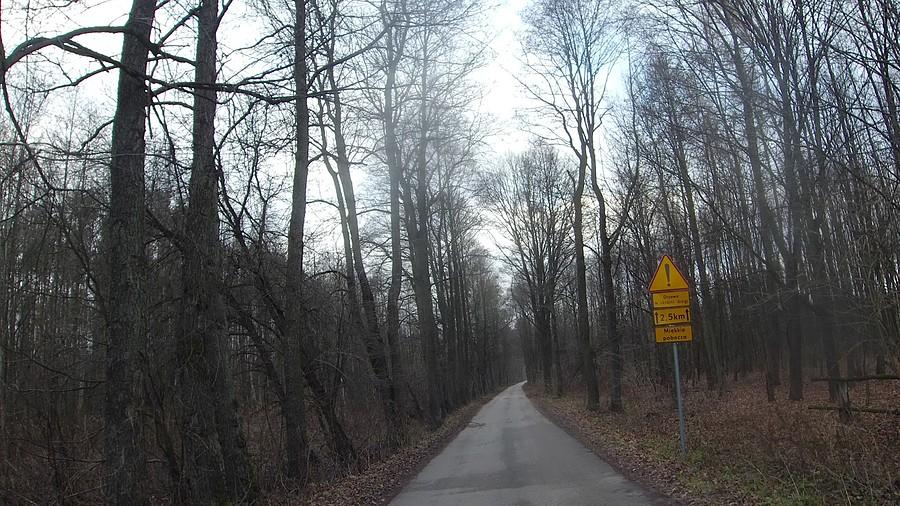 Wiersze - Brzozówka