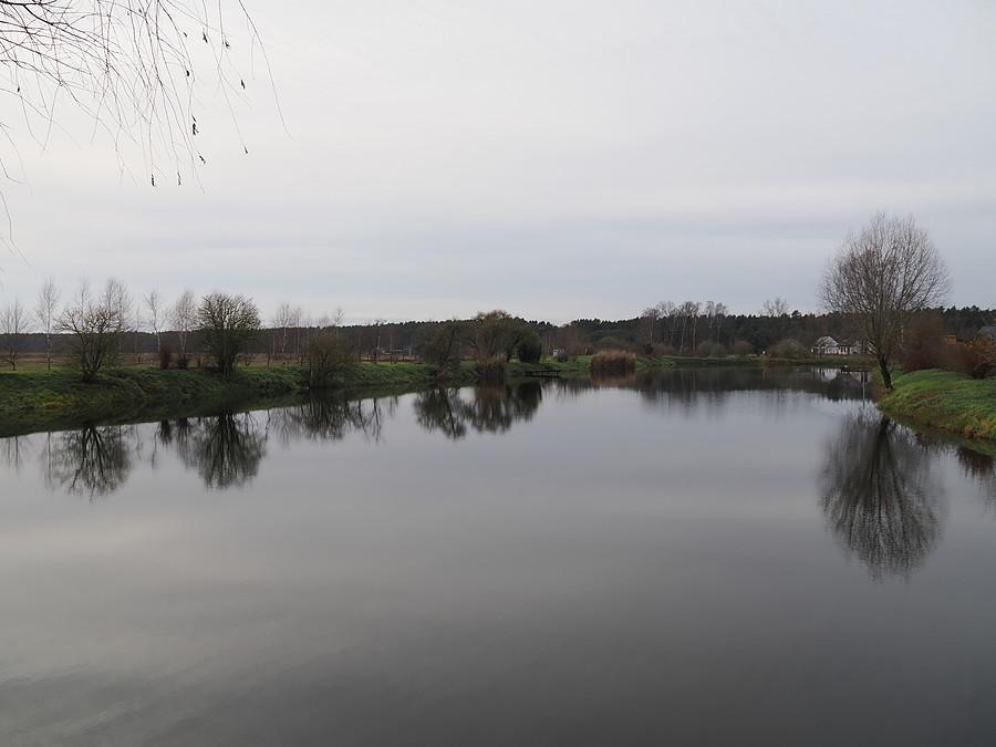 Staw w Rzepinku