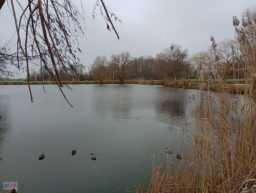 Staw w Zielonkach