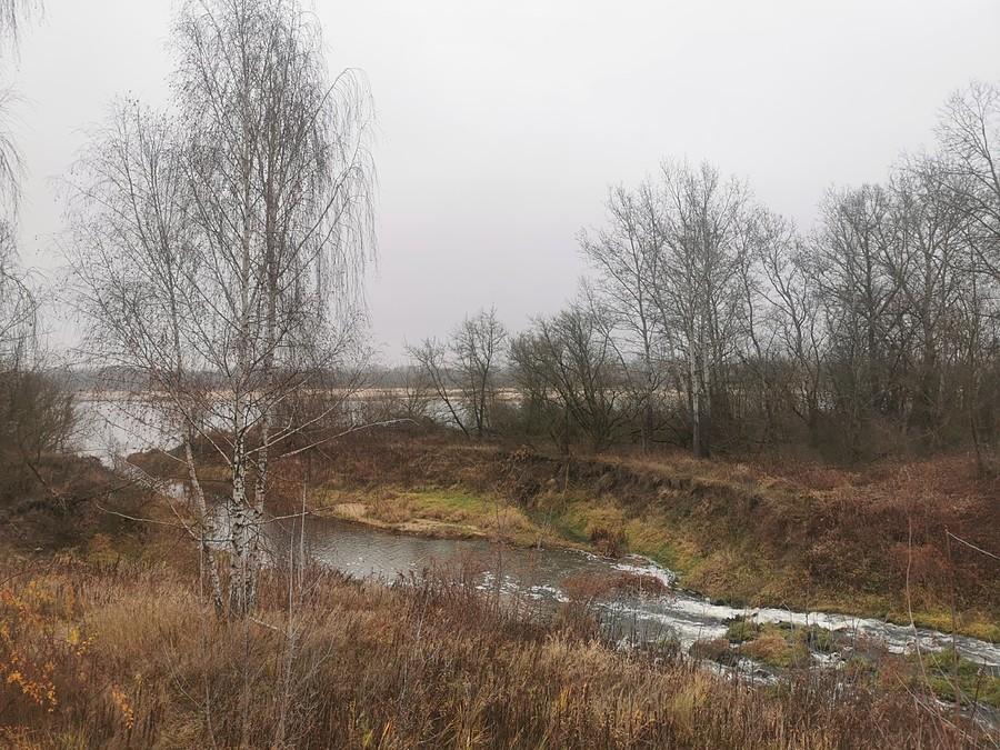 Jeziorka i Wisła