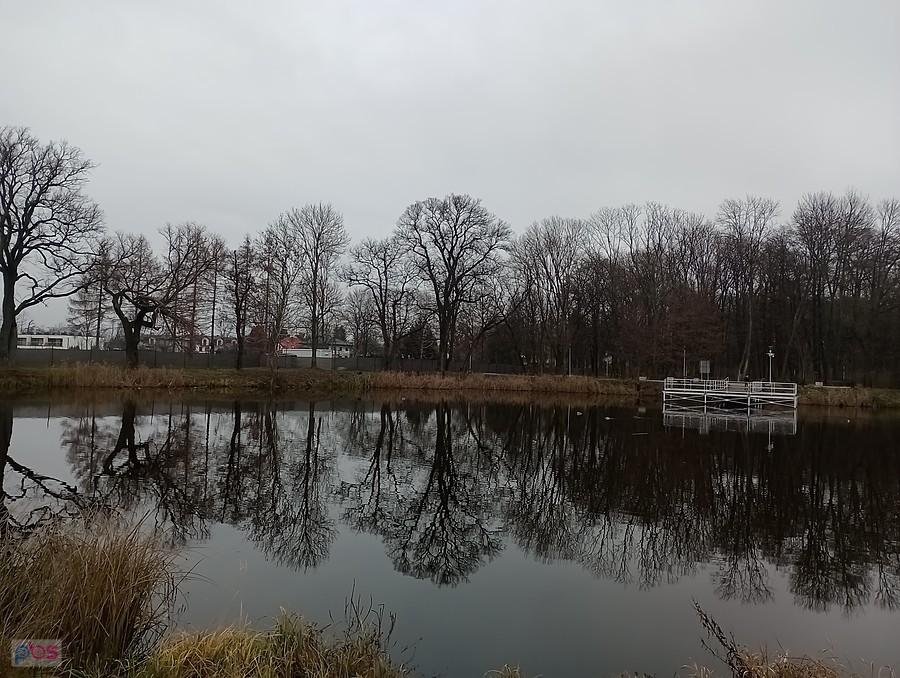 Staw w Ołtarzewie