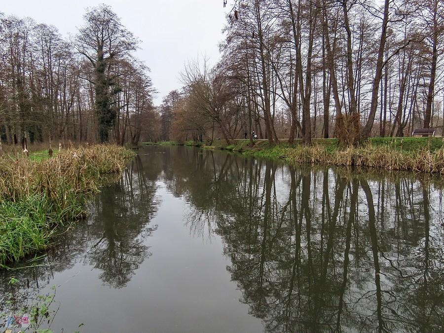 Jeziorka - widok w górę rzeki