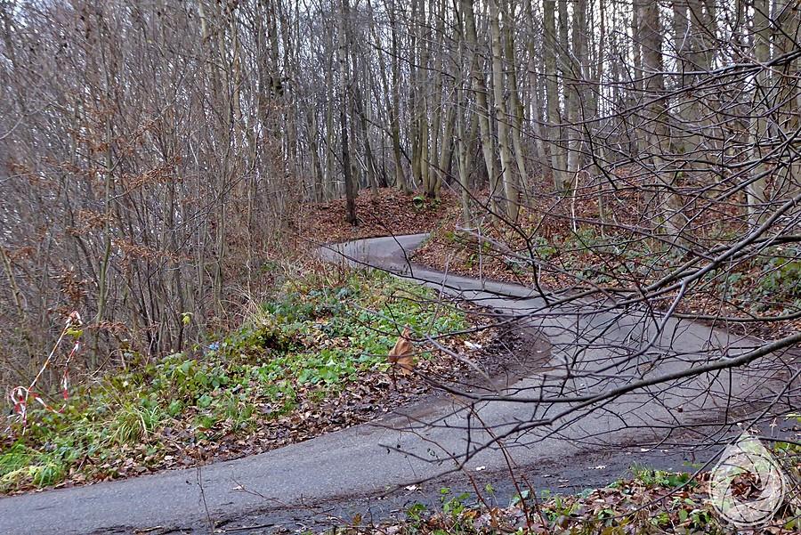 jakaś lokalna serpentyna pod Lutczą
