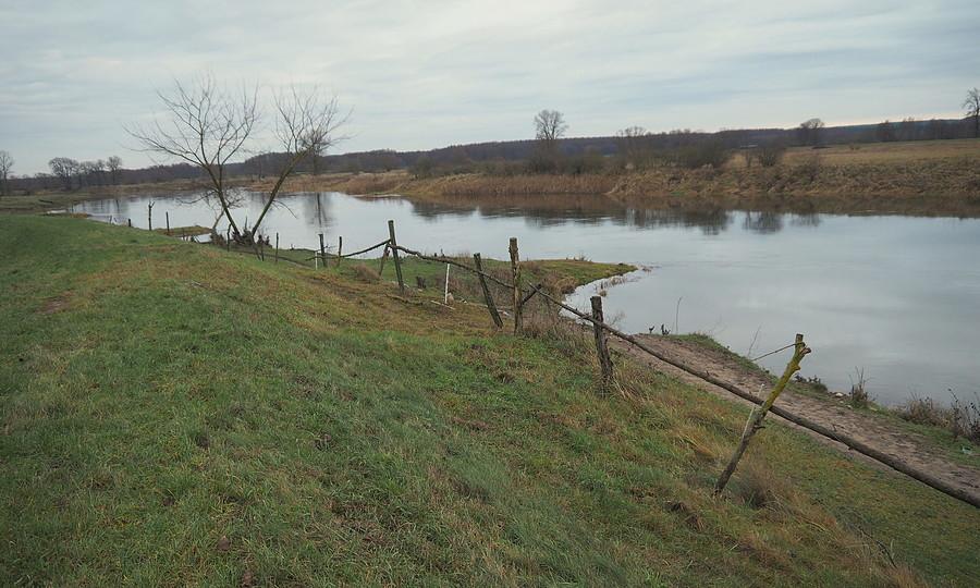 Zasieki nad Wartą