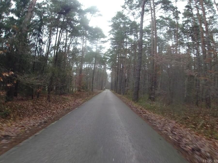 Sękocin Las