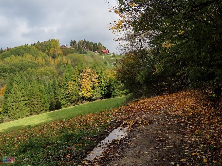 Na niebieskim granicznym szlaku
