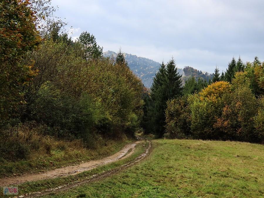 Tuż przed przełęczą pokazała się Sokolica