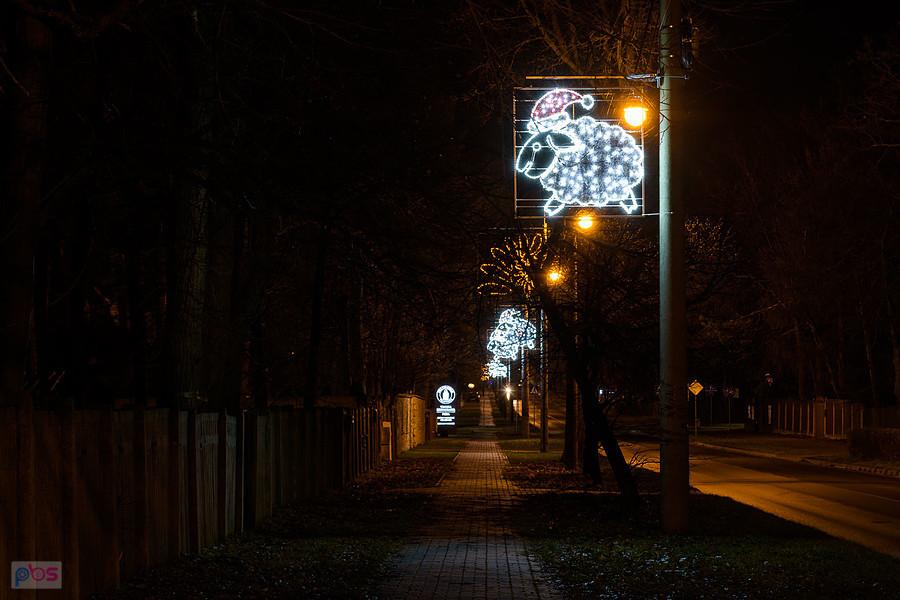 Świąteczne owce w Olsztynie (pow. częstochowski)