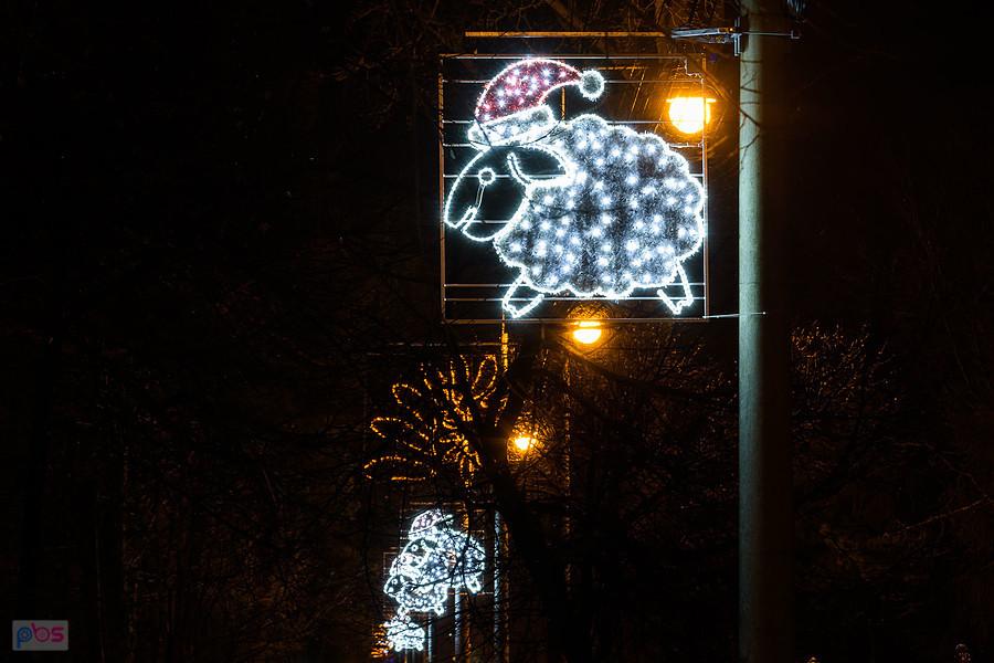 Świąteczne owce w Olsztynie (pow. częstochowski)