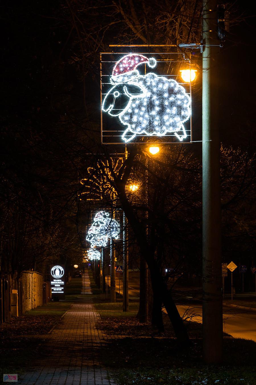 Świąteczne owce w Olsztynie (pow. częstochowski)