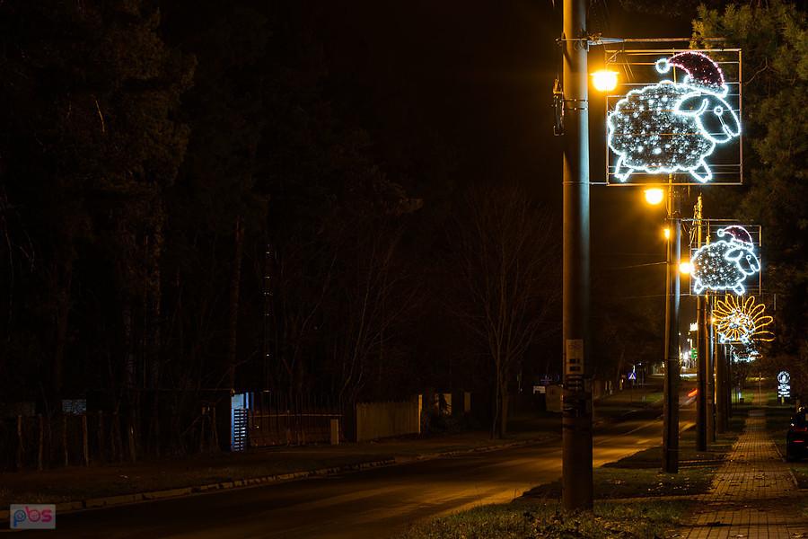 Świąteczne owce w Olsztynie (pow. częstochowski)