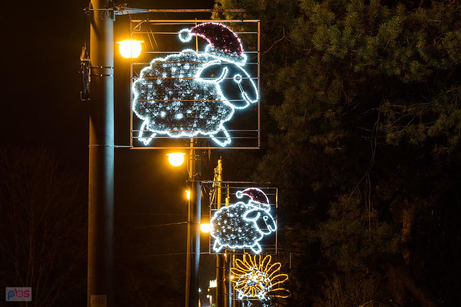 Świąteczne owce w Olsztynie (pow. częstochowski)