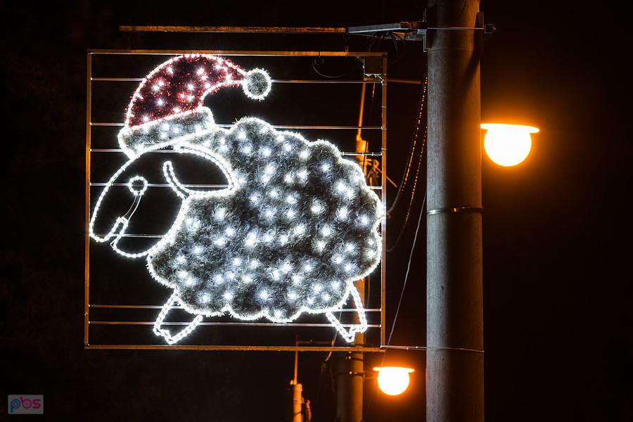 Świąteczne owce w Olsztynie (pow. częstochowski)