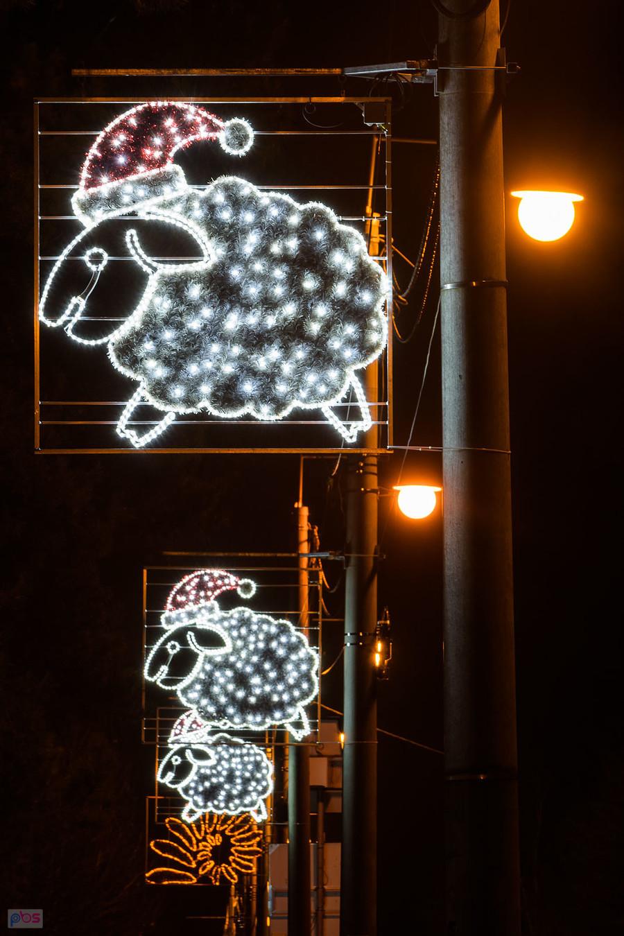 Świąteczne owce w Olsztynie (pow. częstochowski)
