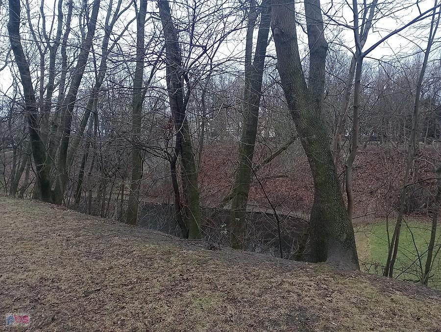 Malutki staw w parku Powstańców Warszawy