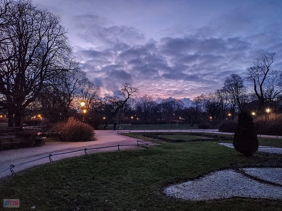 W Ogrodzie Krasińskich zapada zmrok