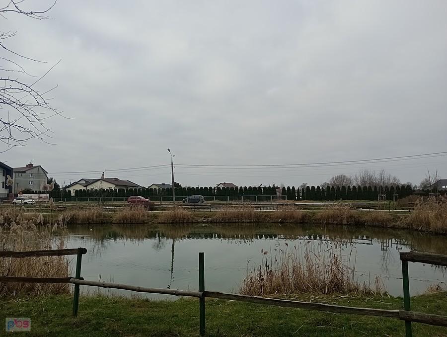 Staw w Borzecinie. Tym razem od tyłu