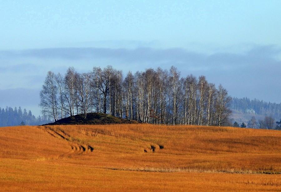 Słoneczne pole w Rudawach