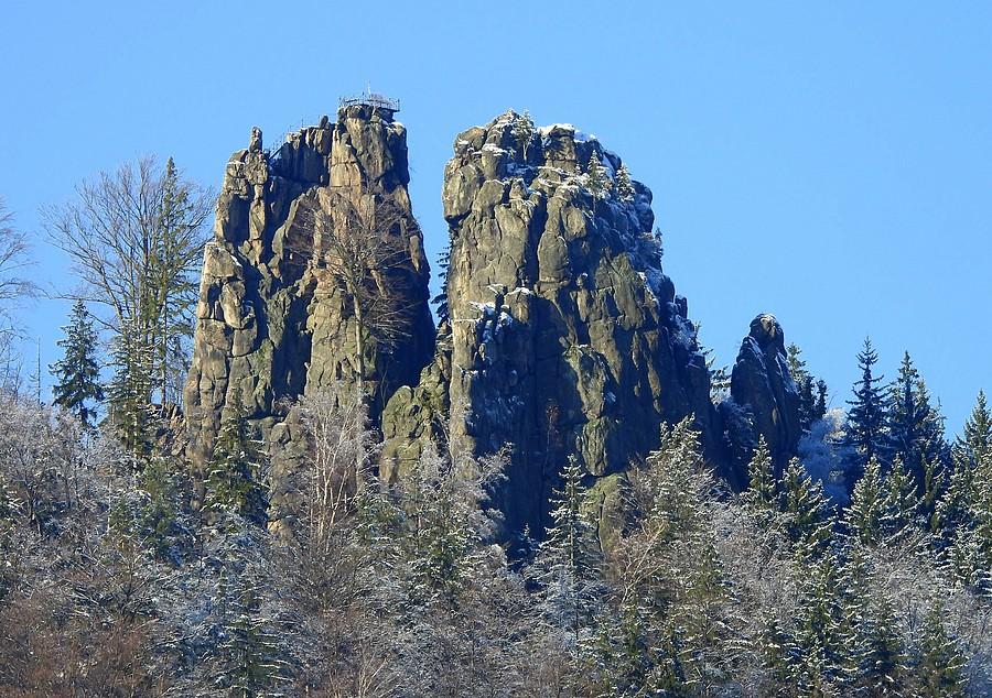 Sokoliki w resztkach śniegu