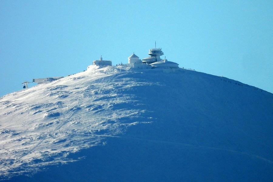 Śnieżka w śniegu