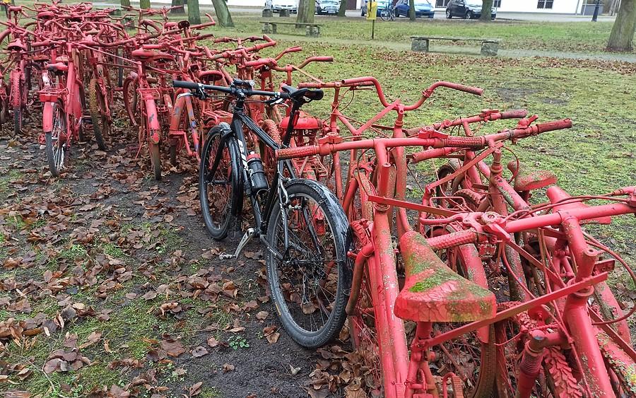 Kórnicka instalacja "Czerwony Peleton" trochę już zmatowiała