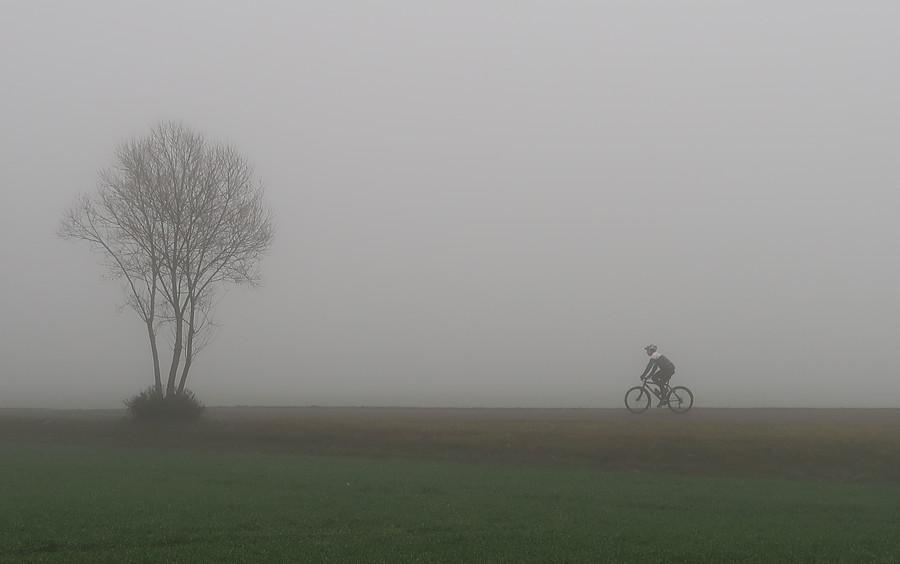 Dwóch samotników we mgle