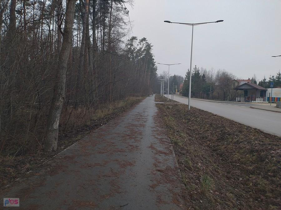 Ddr w Klaudynie powinna być oczyszczona z opadłych i już gnijących liści