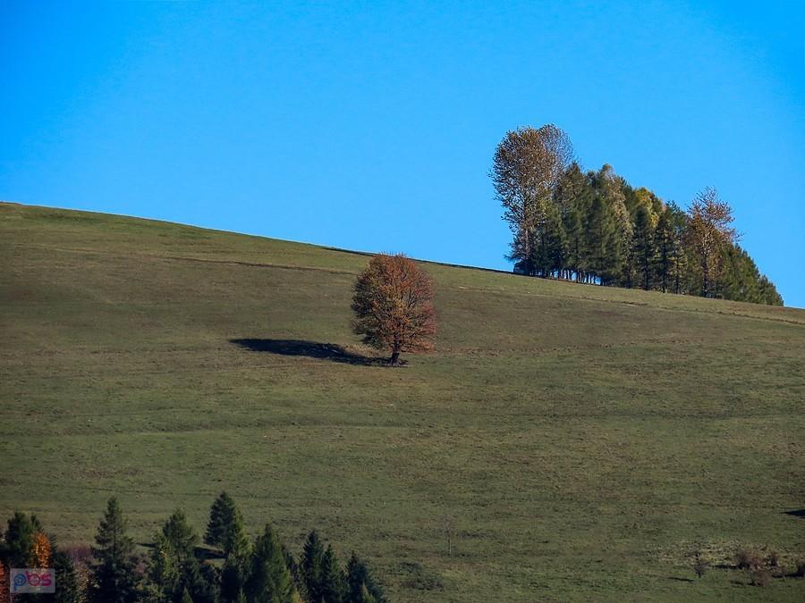 Buczek pod Gabańką