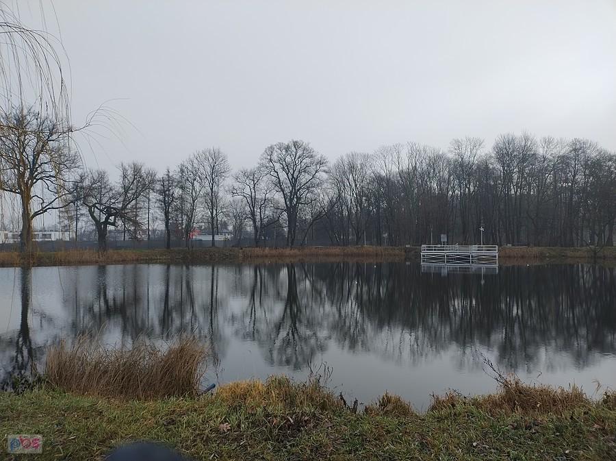 Staw w Ołtarzewie