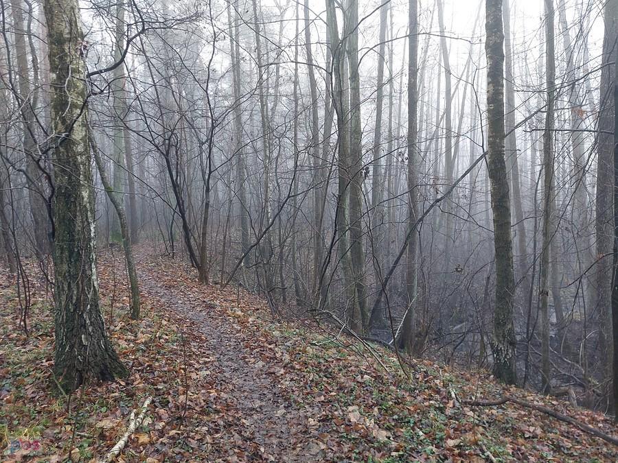 Ścieżka nad brzegiem Lindy
