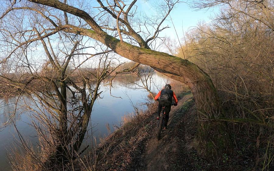 Pure MTB na nadwarciańskich ścieżkach