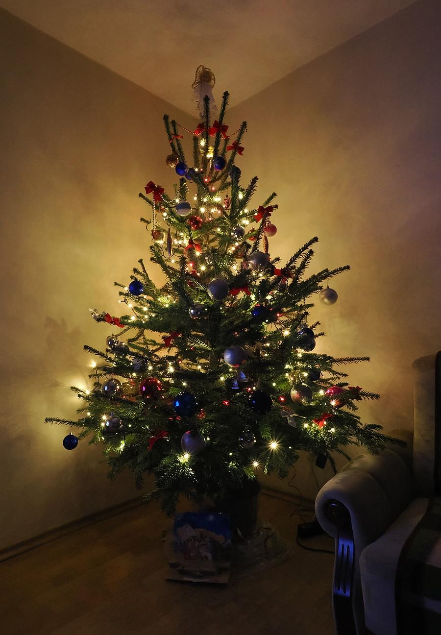 Moja tegoroczna choinka, z technologią Ambilight :)