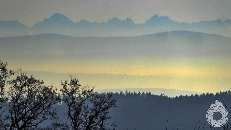 Tatery z Alp Karniowskich