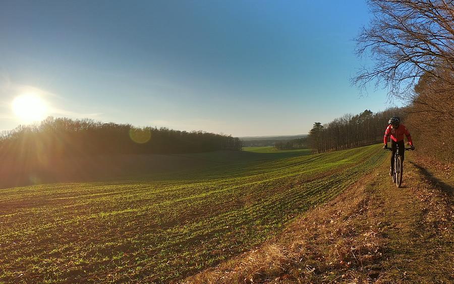 Moja ulubiona polanka w WPN - w zimowym słońcu jest pięknie