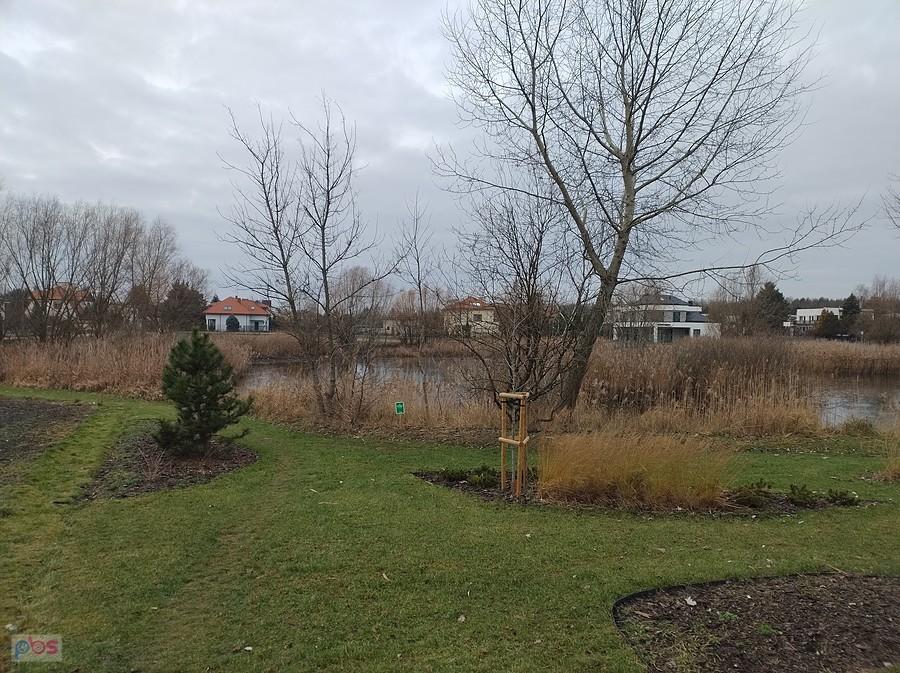 Staw przy Hubala- Dobrzańskiego
