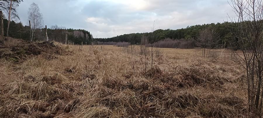 Łąki nad Tymianą