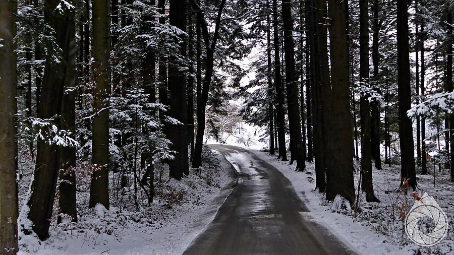 podjazd gdzieś nad Myślec