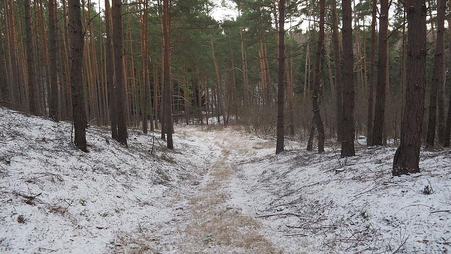 Pierwszy śnieżek