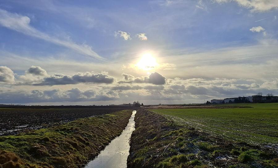 Pięknie w Rosnowie