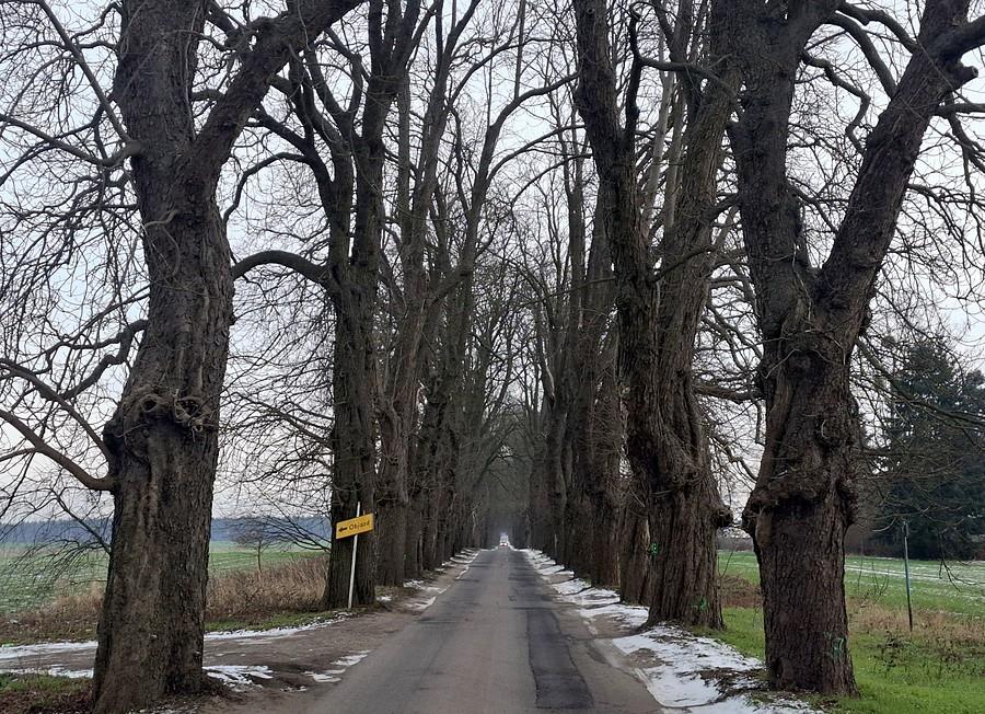 Przejezdna wąska aleja